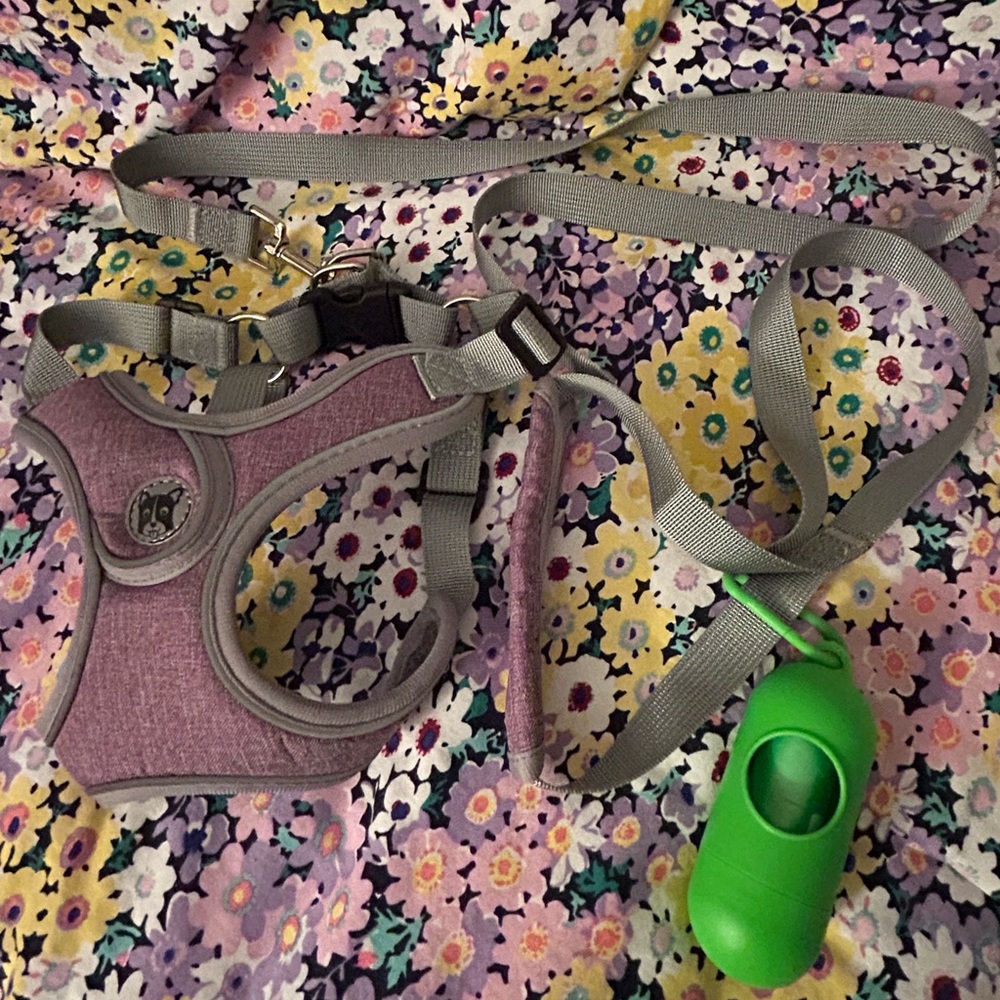 **2 $5 items for$8** Dog Harness with Matching Leash Size Medium